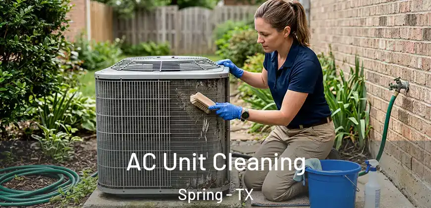  AC Unit Cleaning Spring - TX