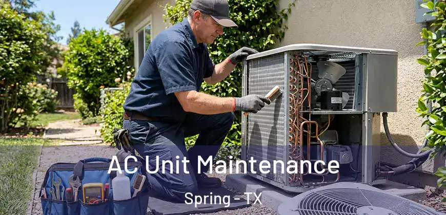 AC Unit Maintenance Spring - TX